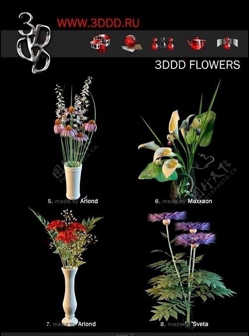 3dddFlowers盆栽花卉max模型5一8图片