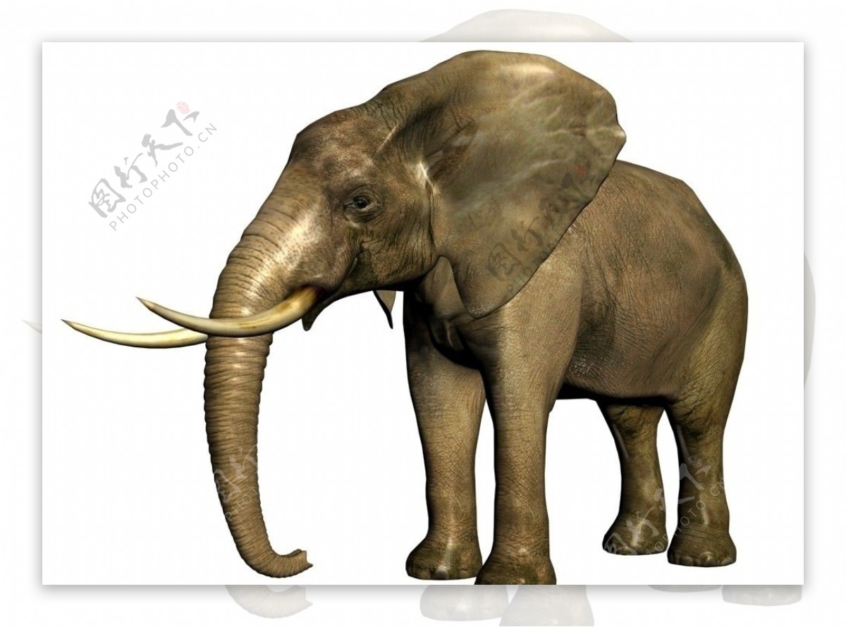 大象3d模型图片