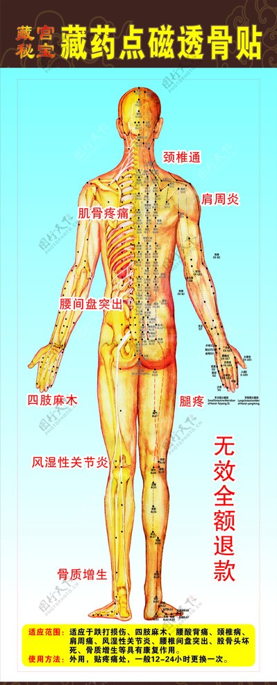 穴位图图片