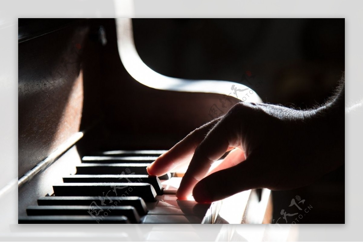 弹钢琴照片素材-弹钢琴照片图片-弹钢琴照片素材图片下载-觅知网