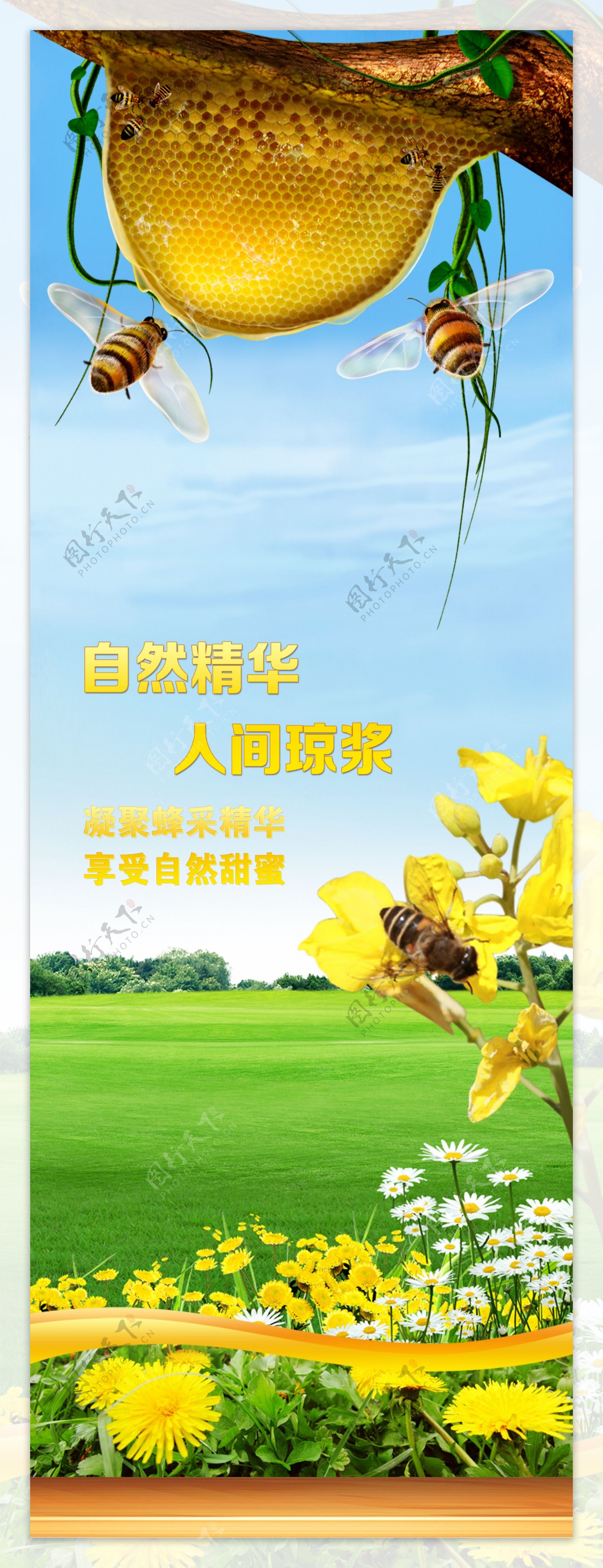天然蜂蜜设计图__广告设计_广告设计_设计图库_昵图网nipic.com