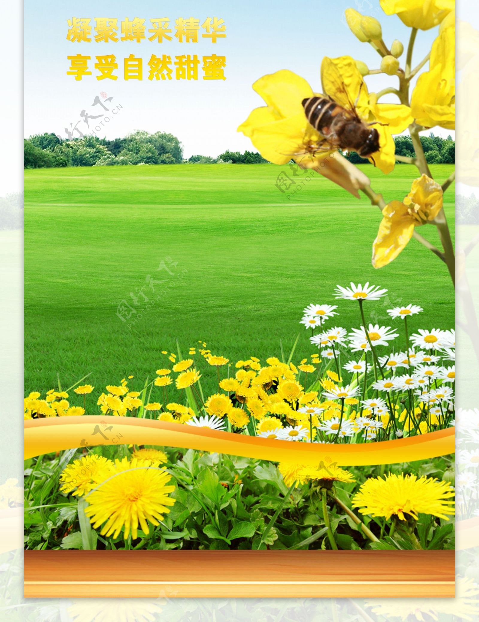 天然蜂蜜海报图片