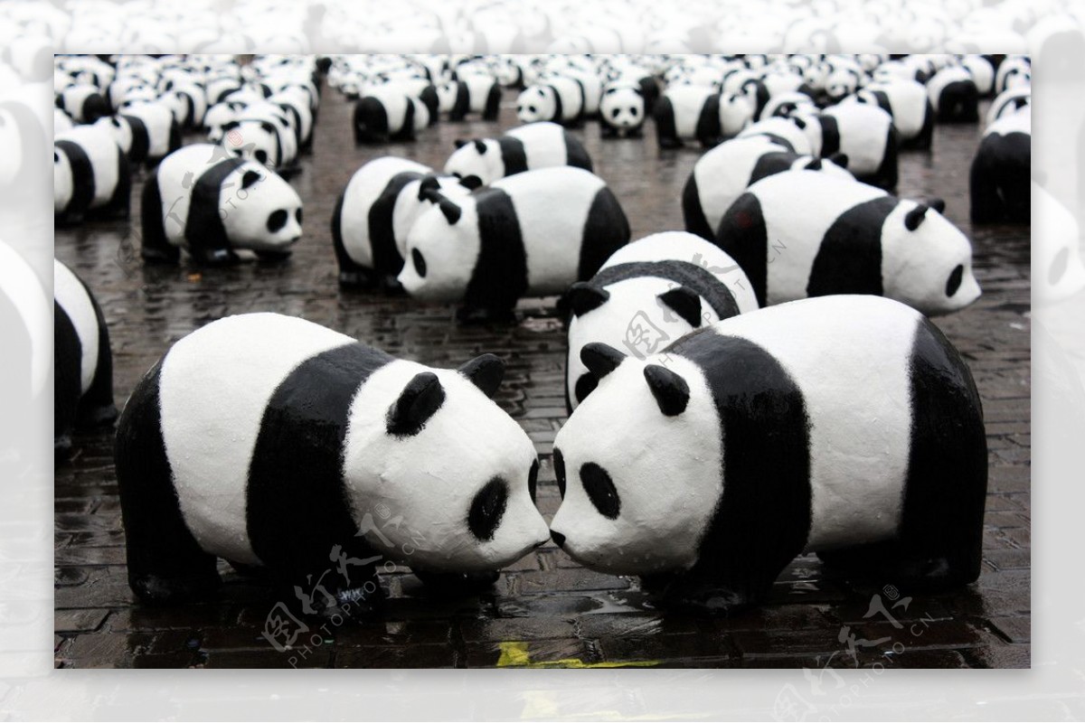 熊猫观光团图片