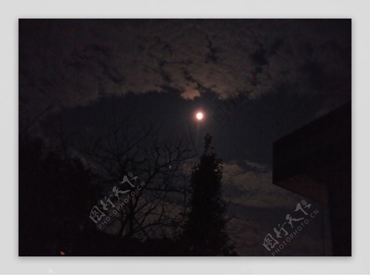 月夜图片