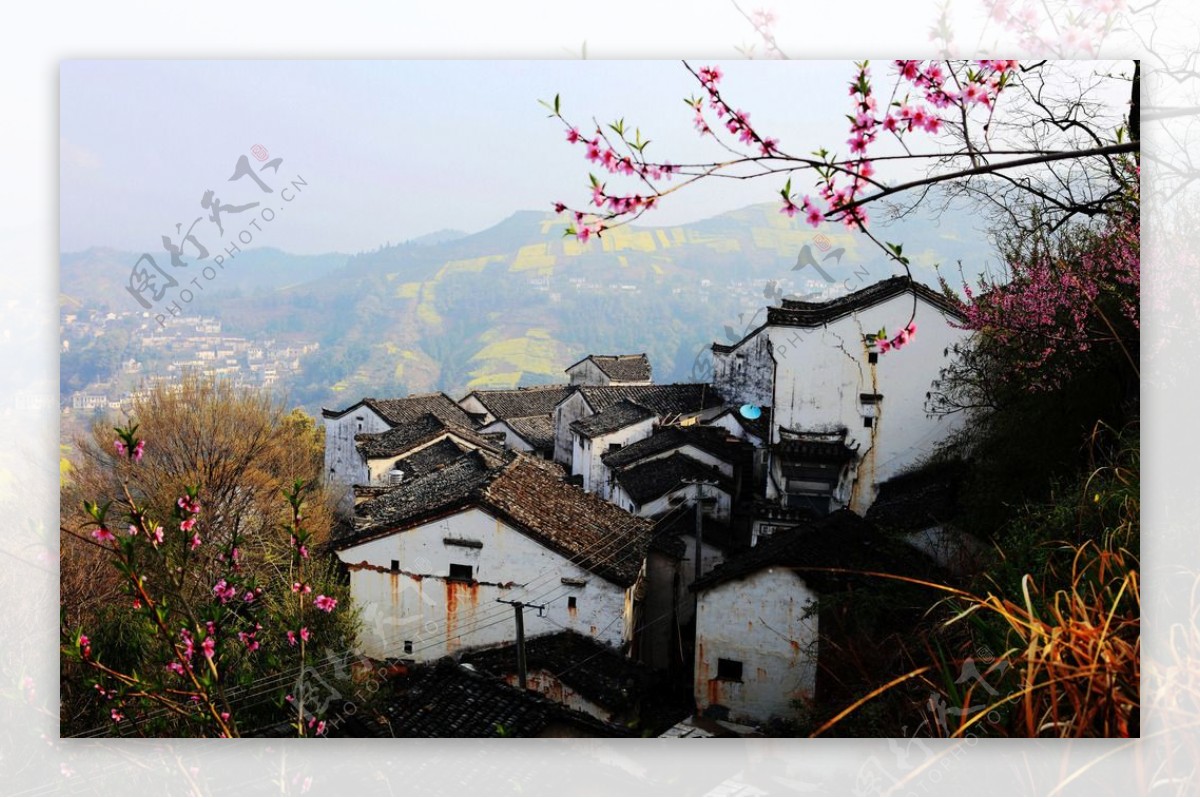 山村春来早图片