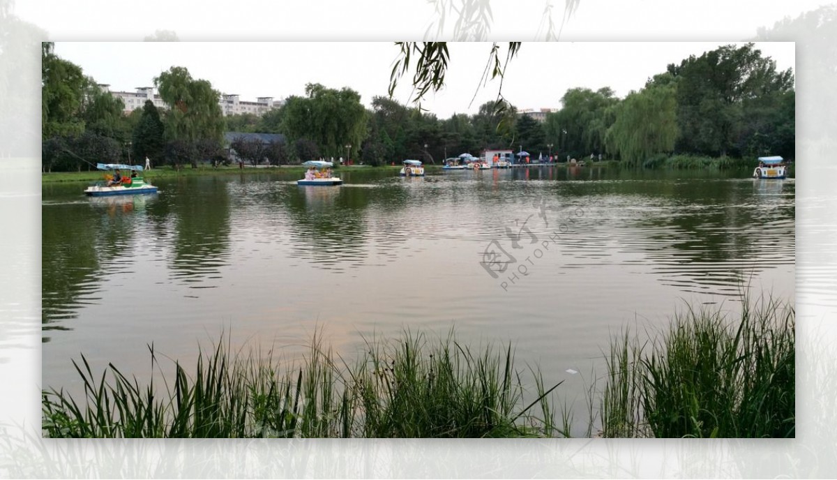 公园里湖面上的游船图片