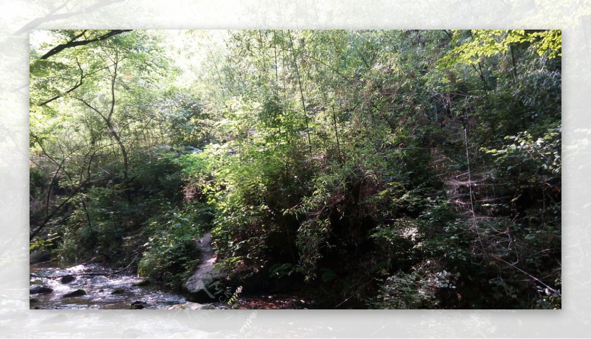 山野小溪景色图片