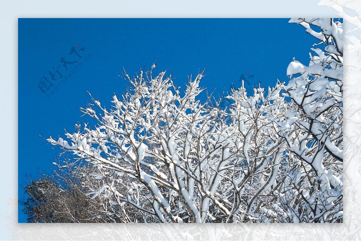 雪景图片