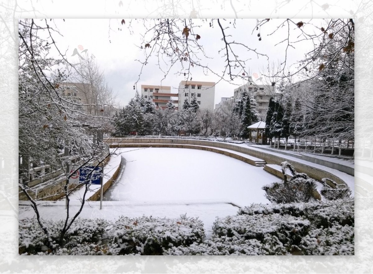 雪中的湖泊图片