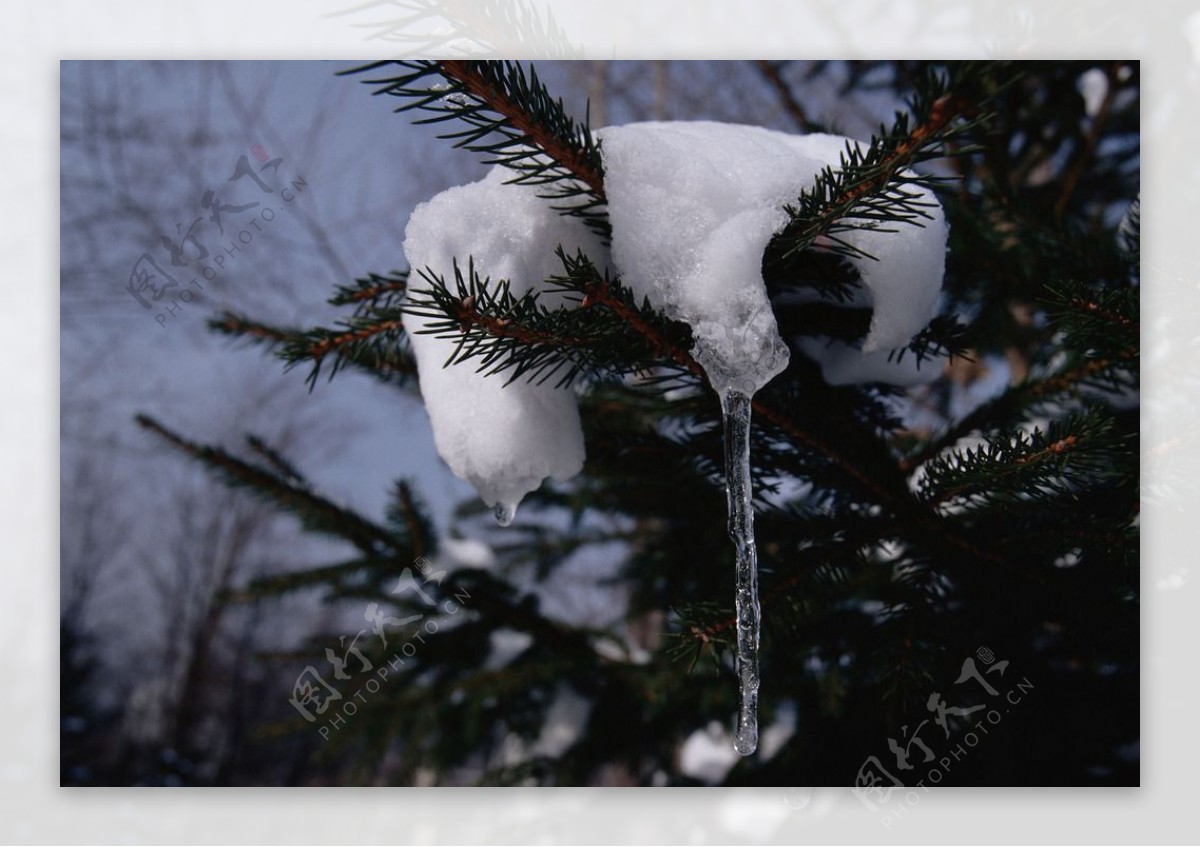 冬季雪景图片