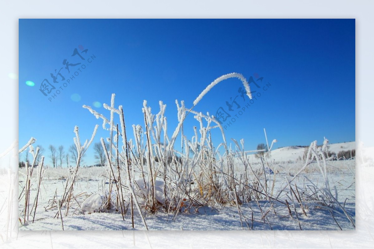 雪景图片