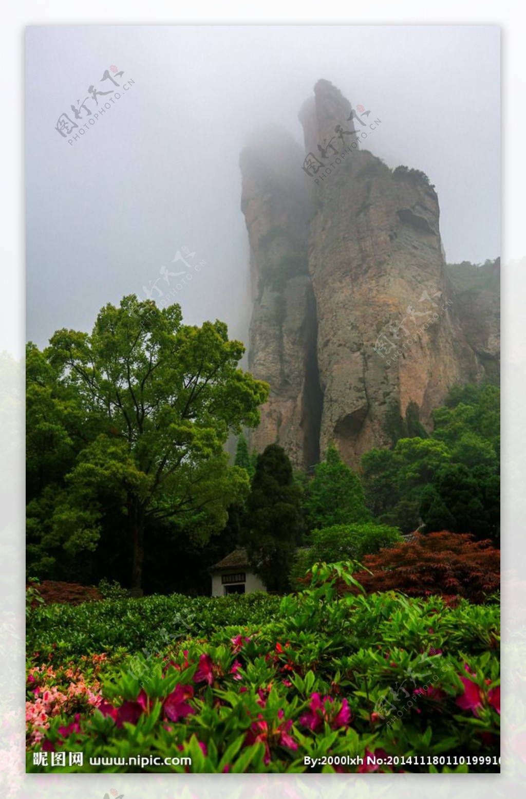 雁荡山图片