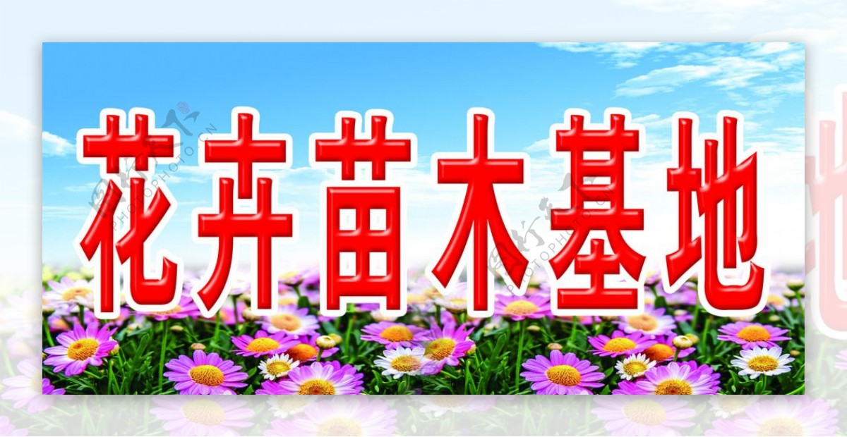 花卉苗木基地图片