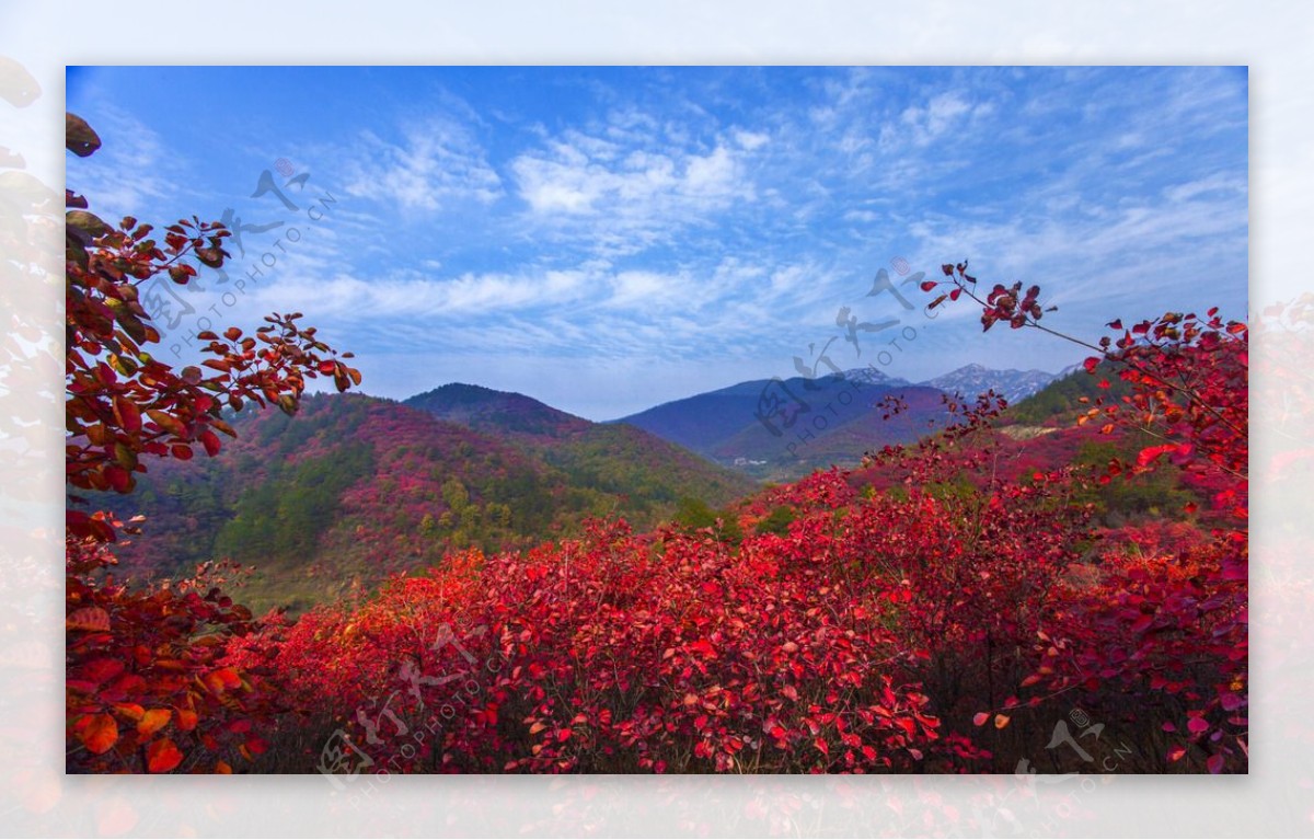 秋天高山非高清图片