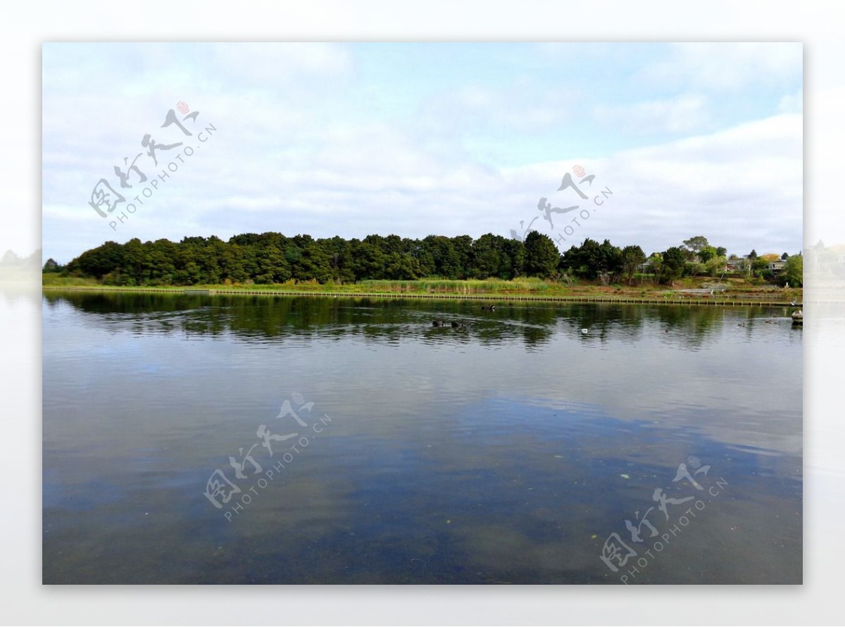 新西兰野鸭湖自然风景图片