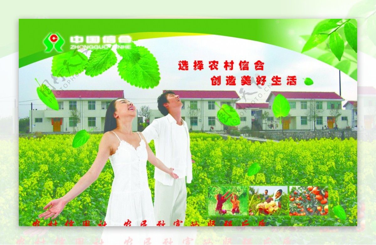 中国信合广告珍藏版图片