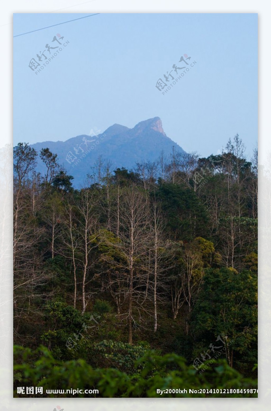 五指山图片