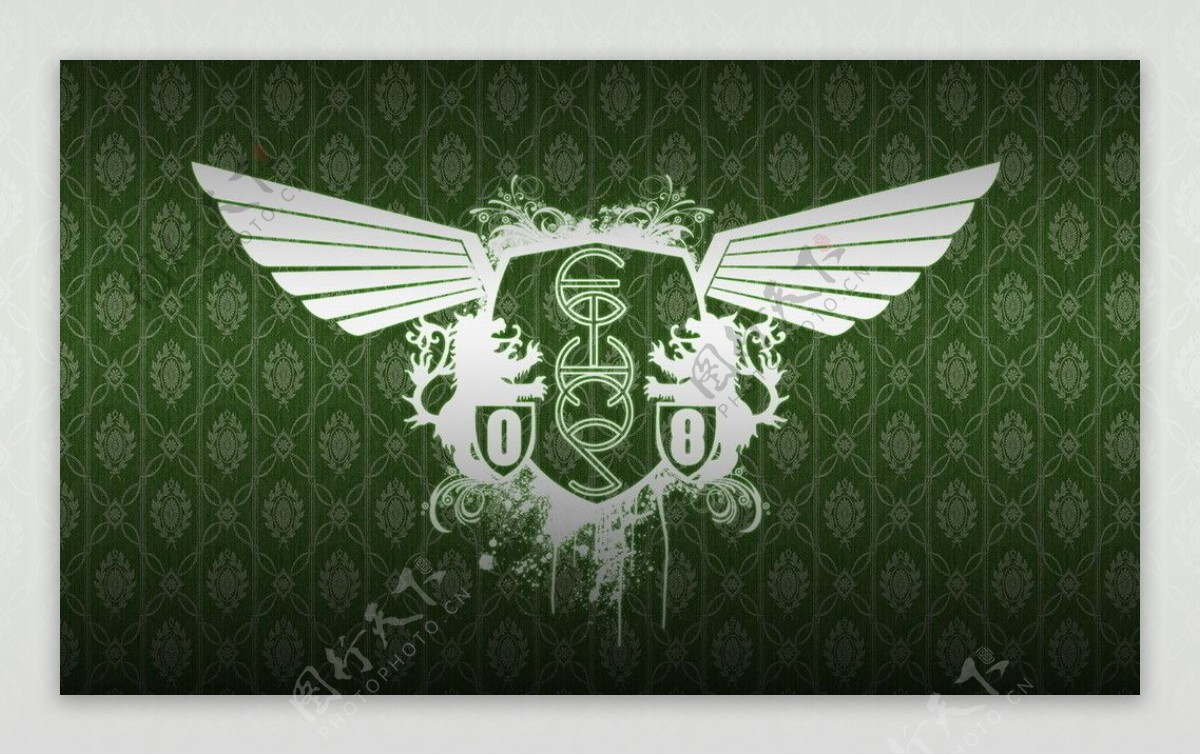 绿色飞鹰标志图片