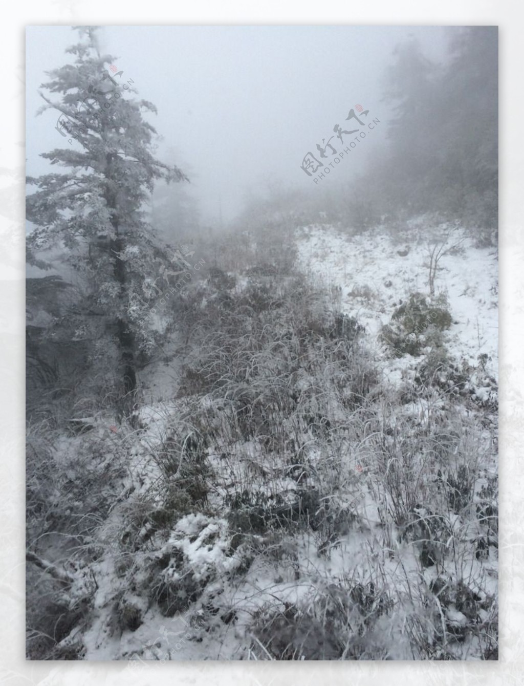 峨眉山的雪图片