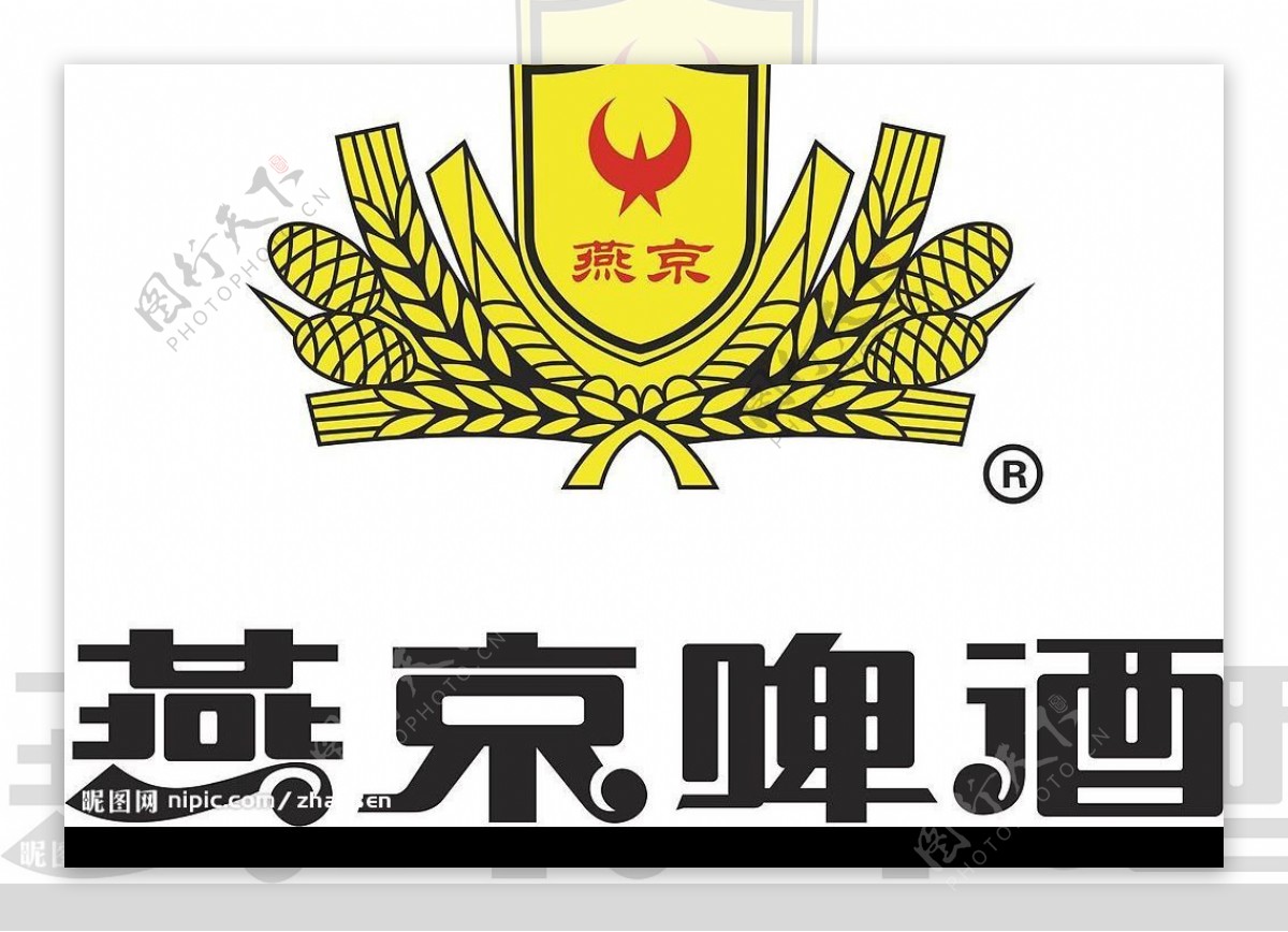 燕京啤酒CDR8图片