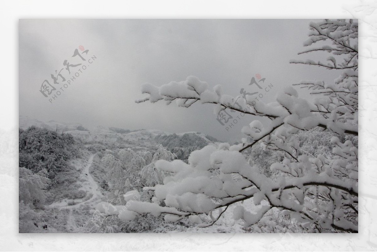 雪景图片