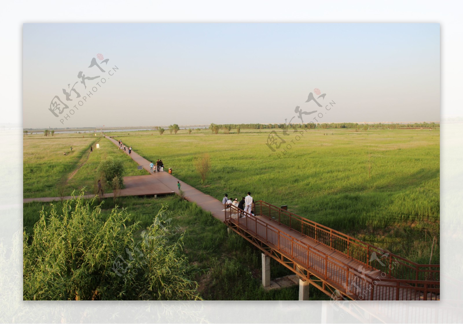 郑州黄河国家湿地公园图片