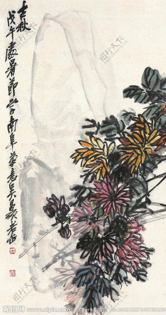 菊石图图片