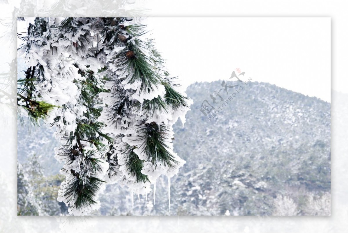 庐山雪景图片