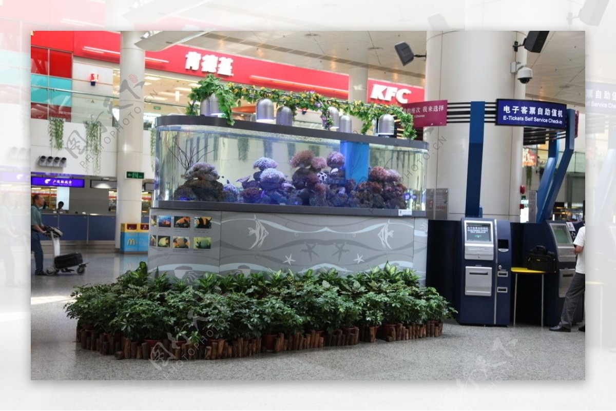 深圳机场鱼缸图片