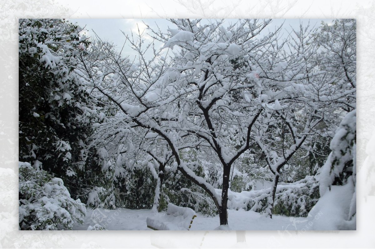 公园雪景图片