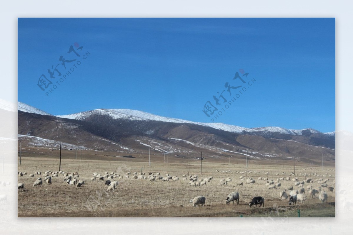 青海景观图片