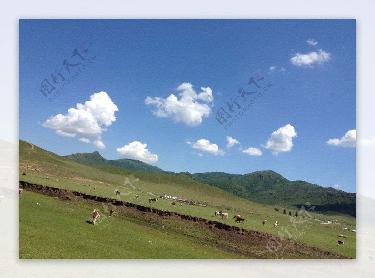 草原风景图片