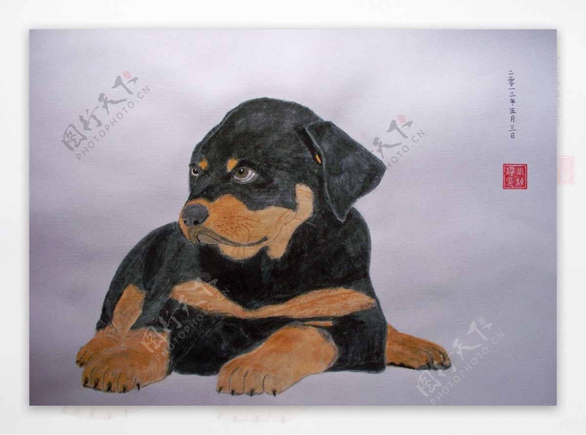 黑狗犬水粉国画图片