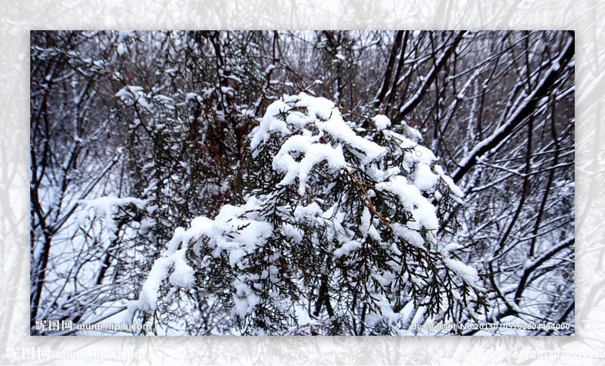 腊山的雪图片