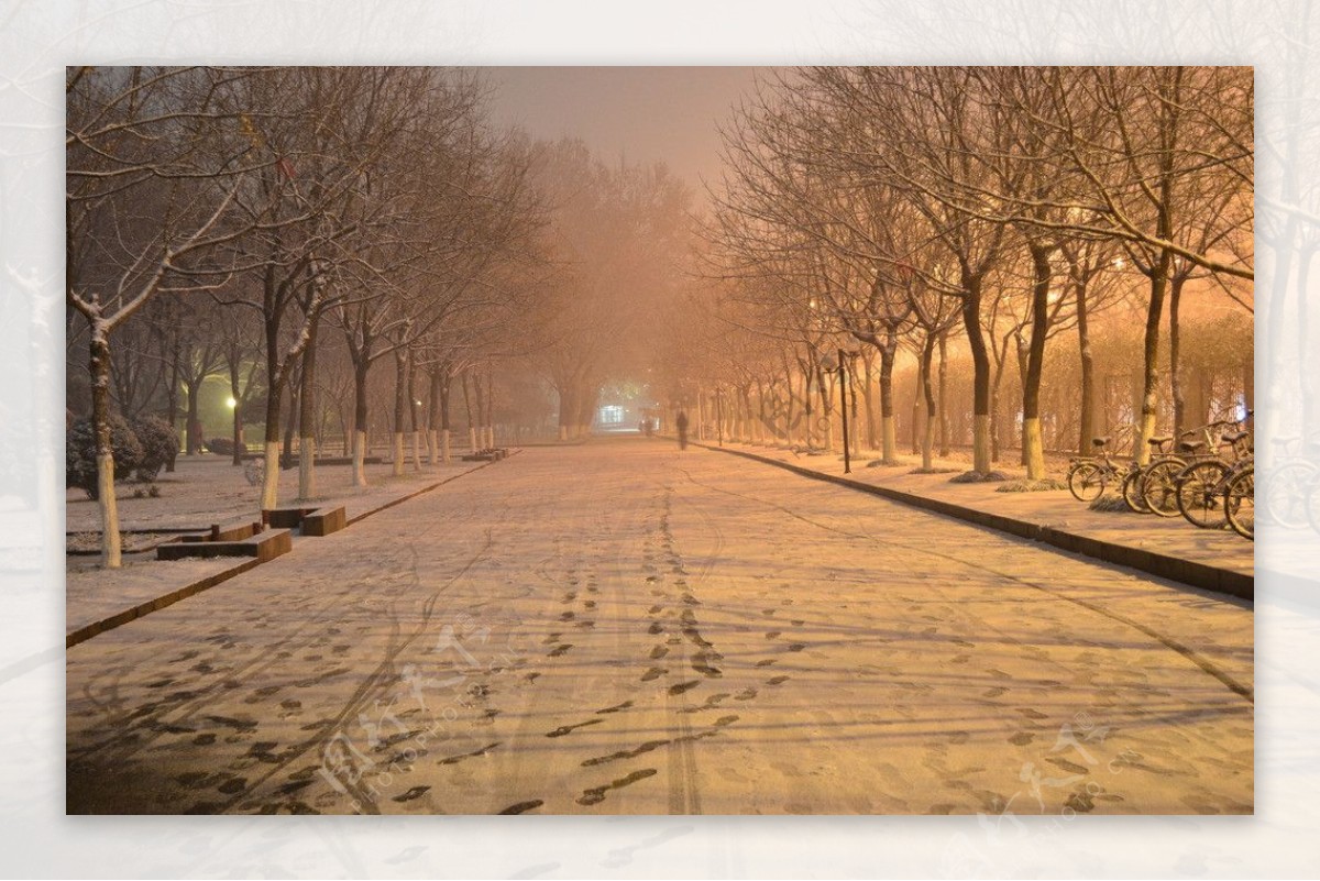 雪中校园夜景图片