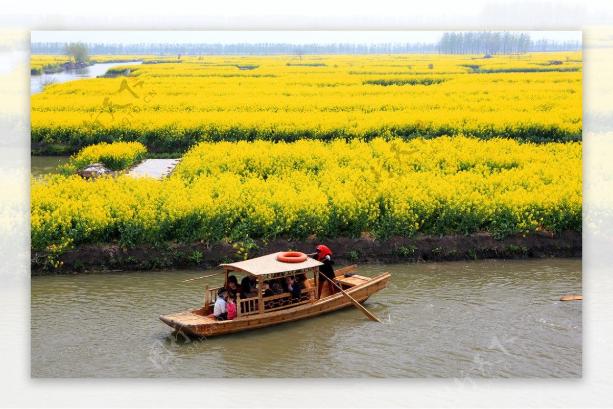 千岛菜花风景区图片