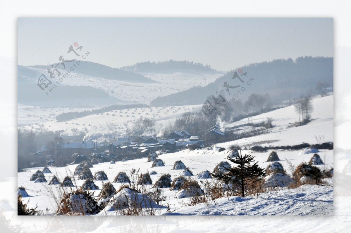 雪野图片