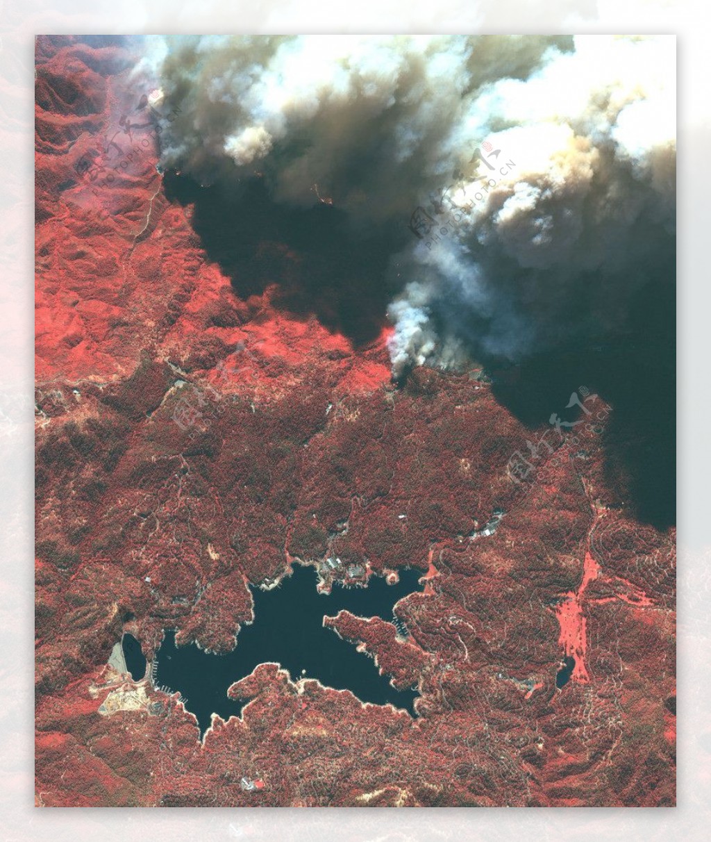 2003年加州森林大火图片