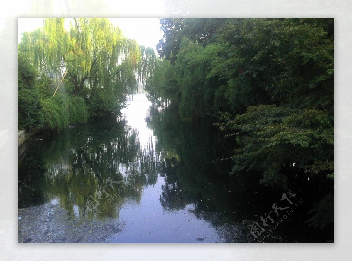 湖水绿树图片