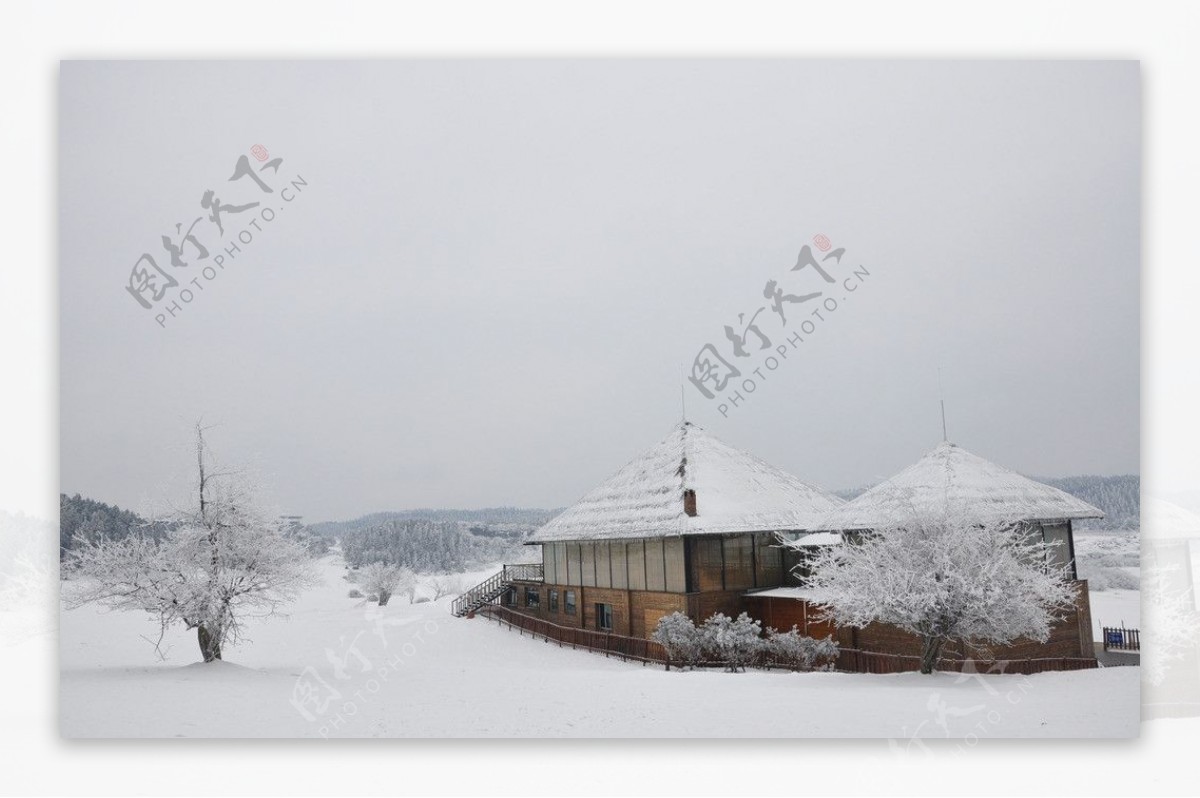 仙女山雪景图片