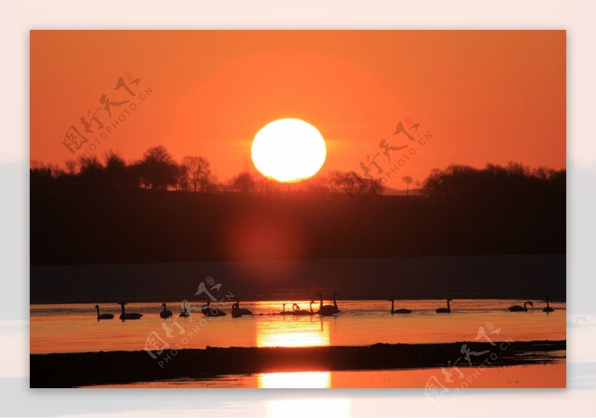 沽源夕阳图片