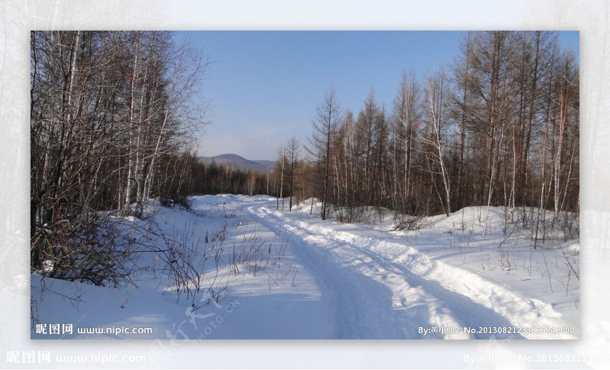 弯曲的林间雪路图片
