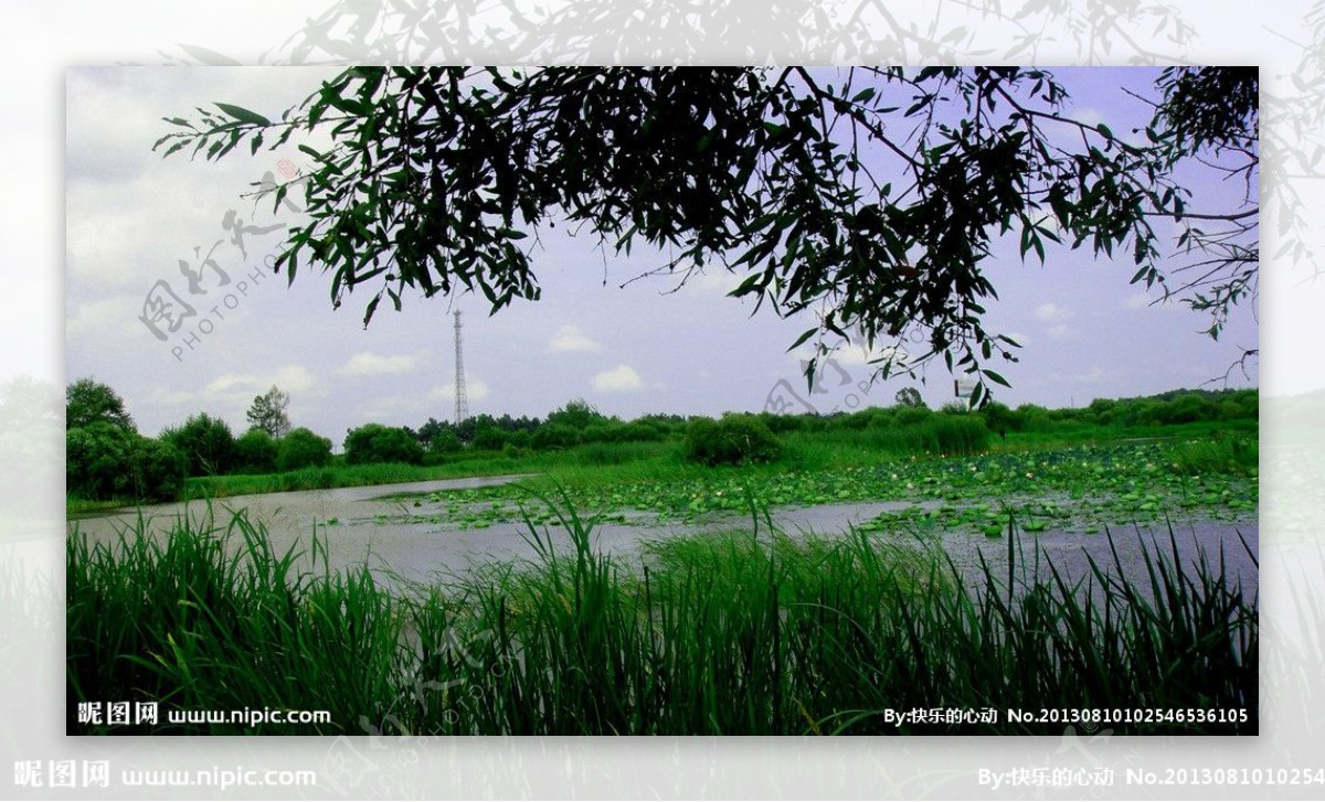原身态湿地图片