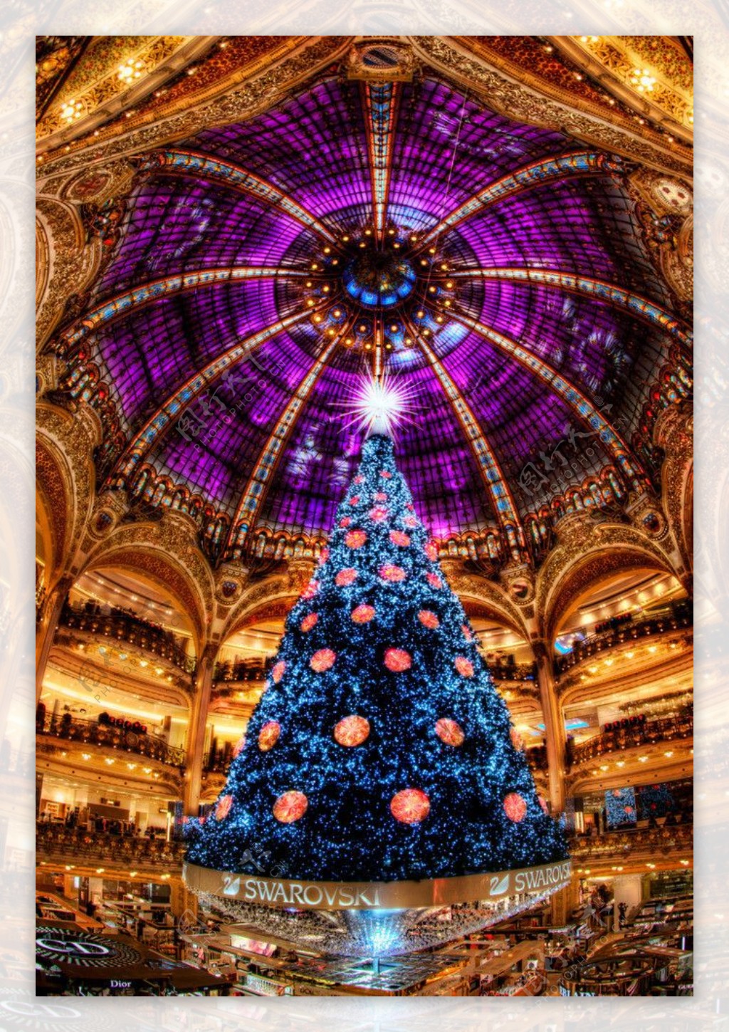 法国圣诞树图片