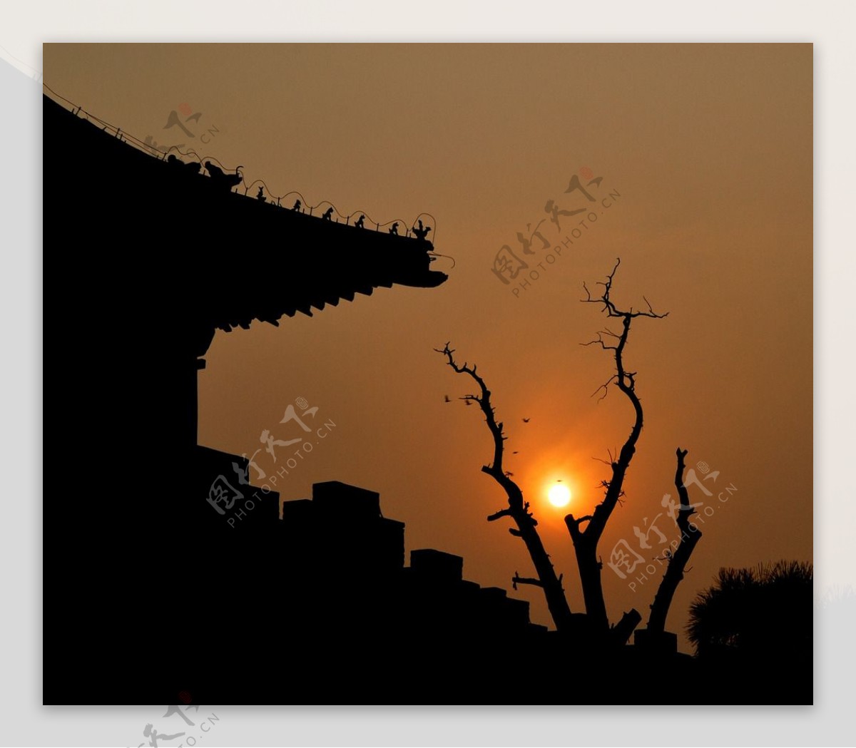 夕阳中的古城一角图片