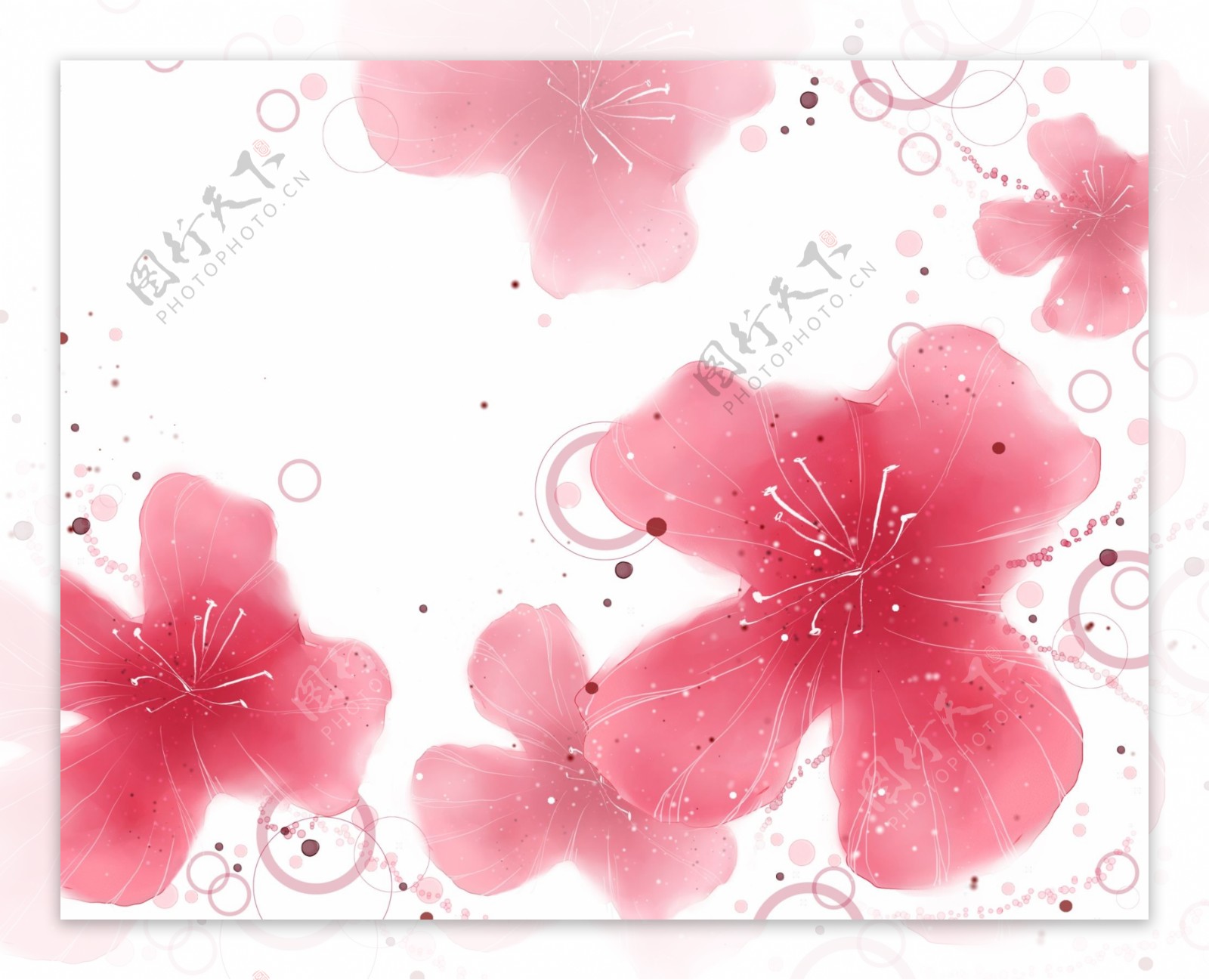 浪漫粉红色花朵图片