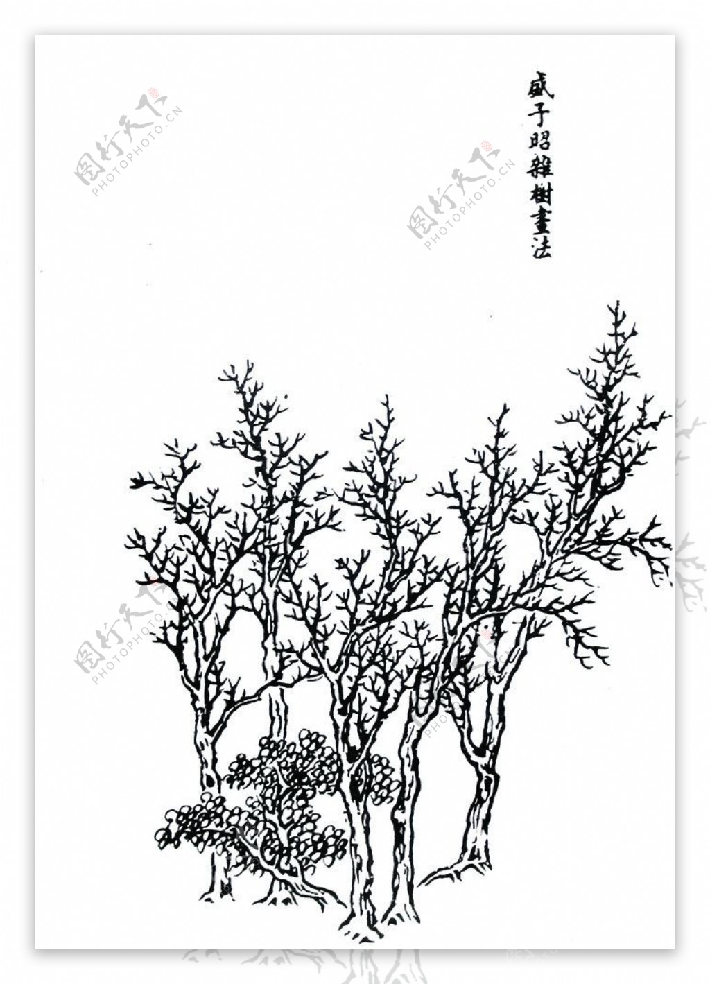 芥子园画谱图片