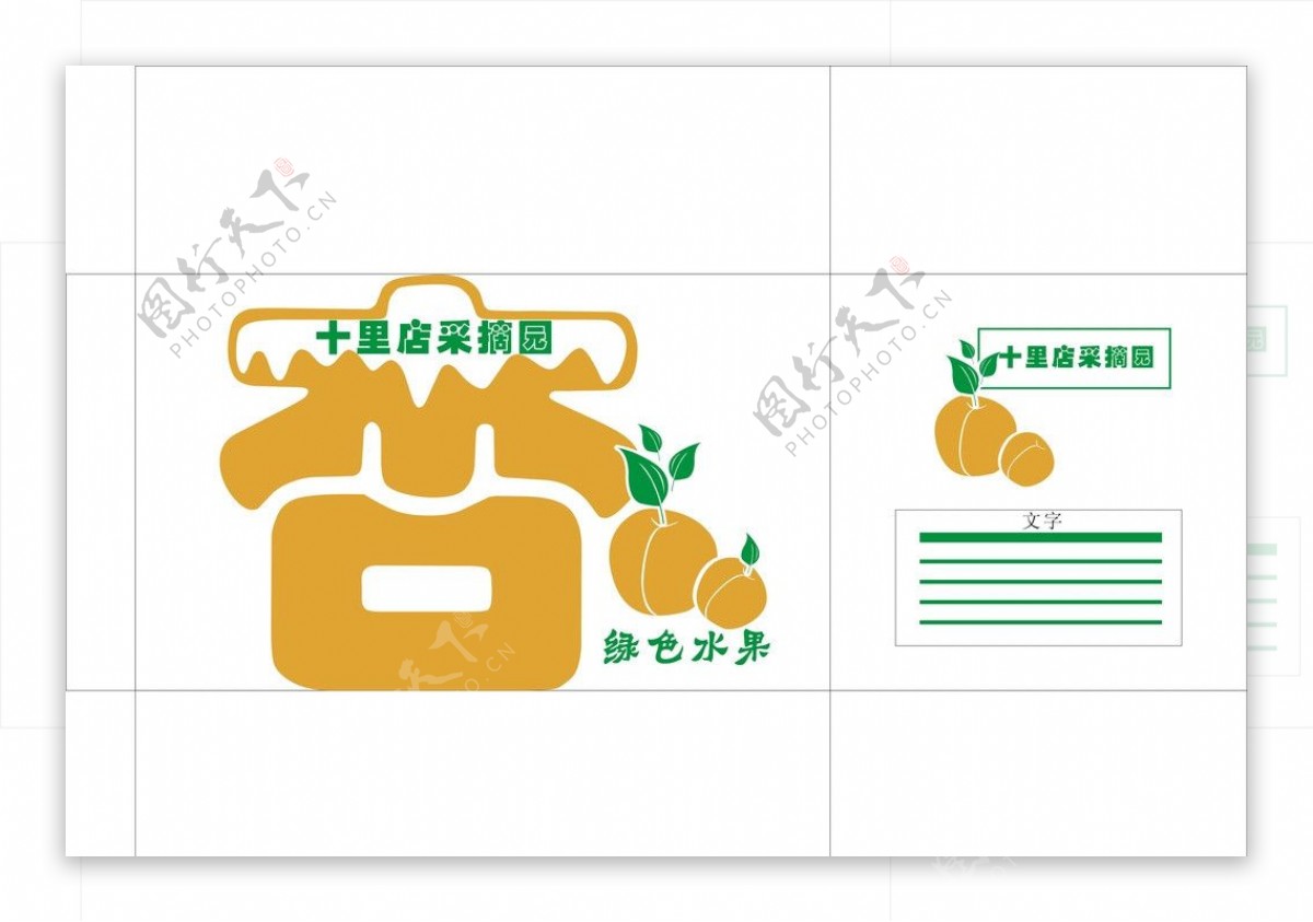 杏子图片