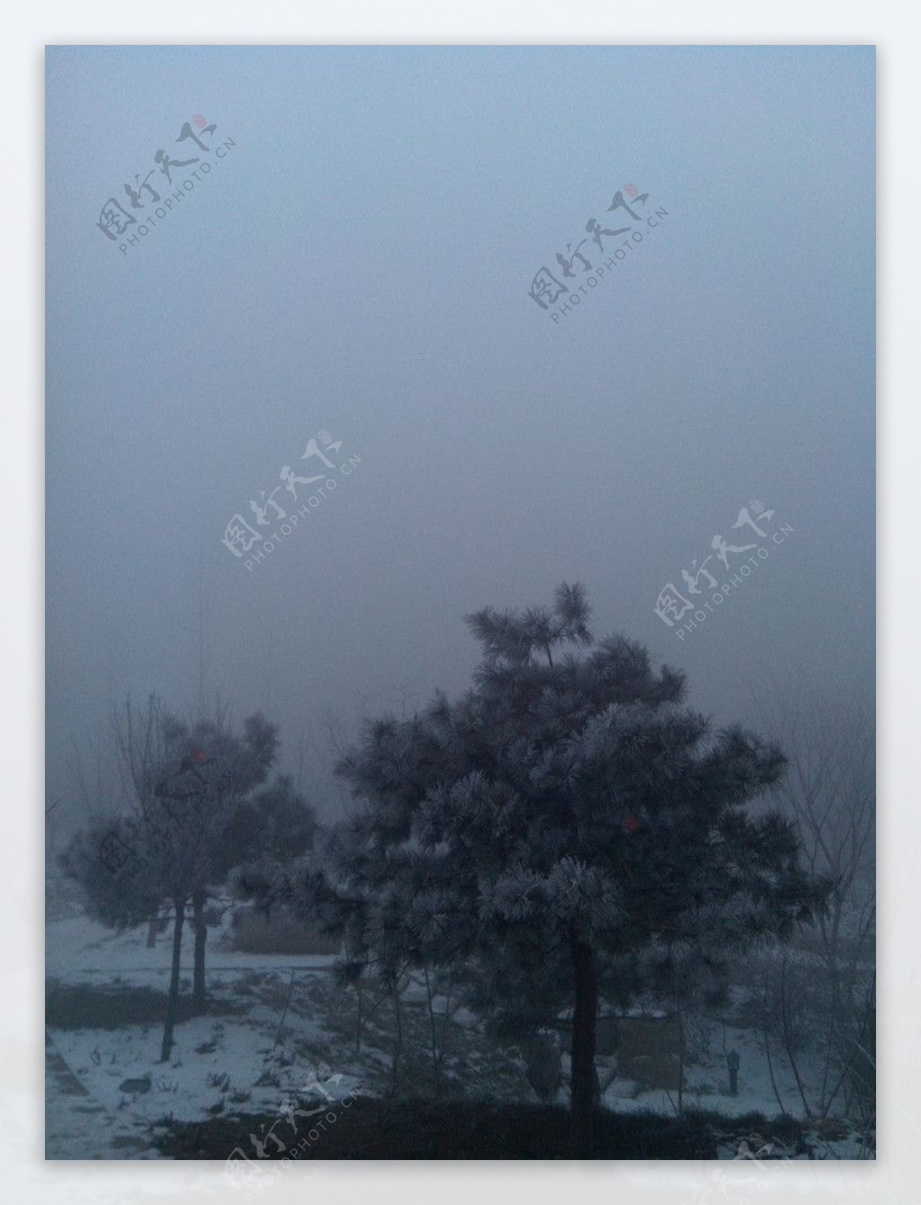 雪天的雾霾图片