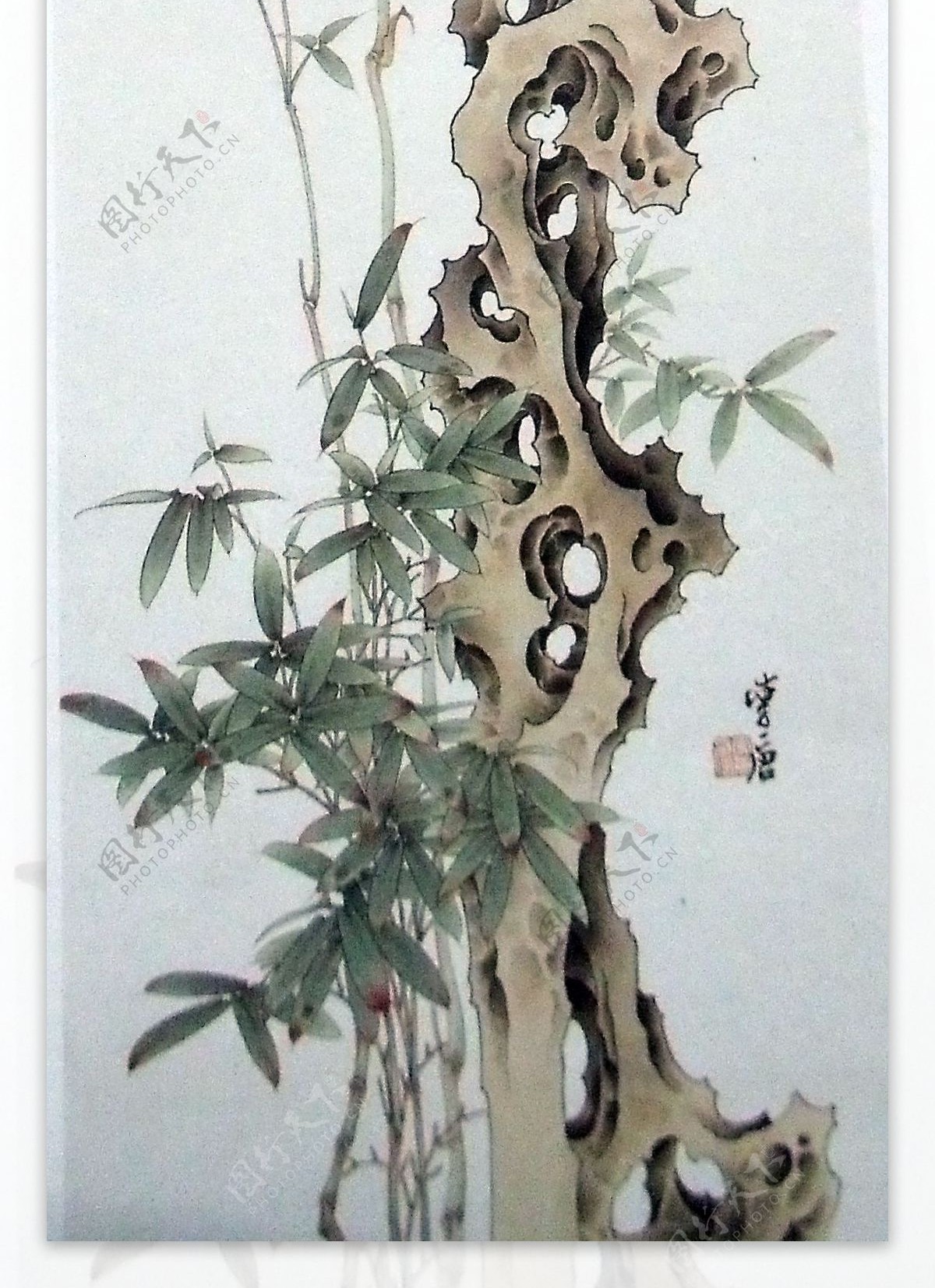 国画山石花鸟画图片